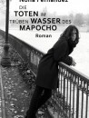 Buchcover, Nona Fernández, Die Toten im trüben Wasser des Mapocho